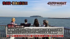 イルワケＮＩＧＨＴ　ファイル３　猿島編（神奈川・横須賀市）　4