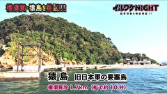 イルワケＮＩＧＨＴ　ファイル３　猿島編（神奈川・横須賀市）　5