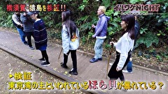 イルワケＮＩＧＨＴ　ファイル３　猿島編（神奈川・横須賀市）　7